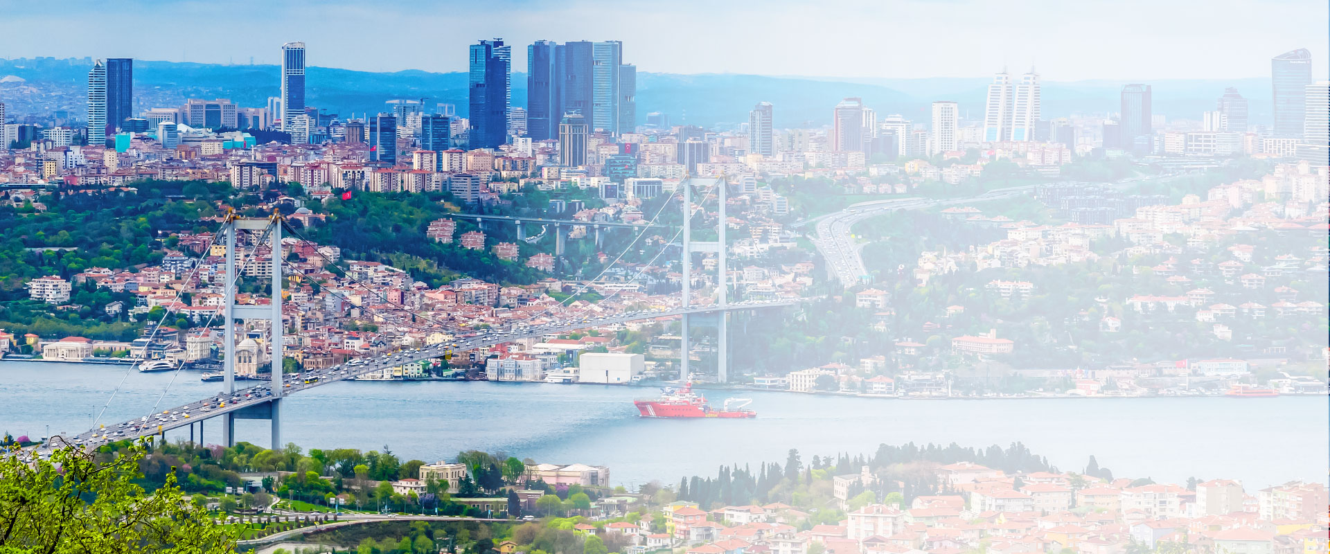 EDIS Banner 1