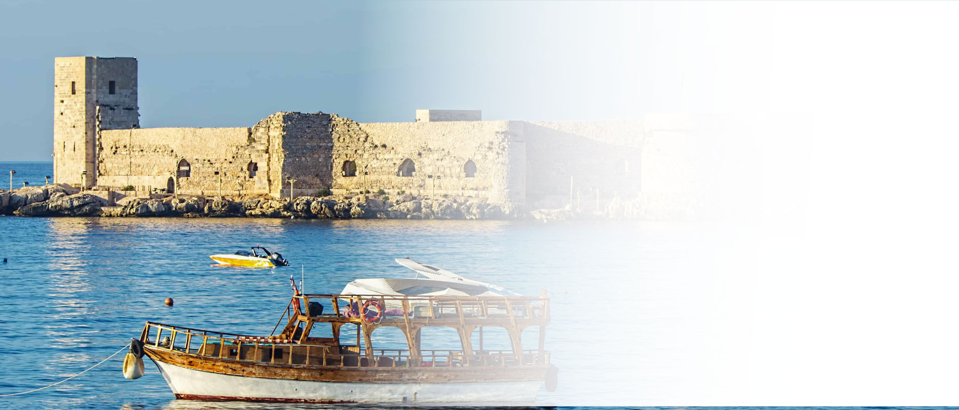 EDIS Banner 1